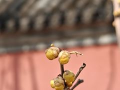 -品湘宴·湖南宁乡菜