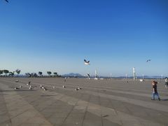 -东港音乐喷泉广场