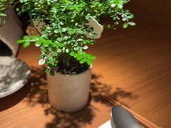 -CURRY YA 熟成咖哩專門店(深圳湾万象城店)