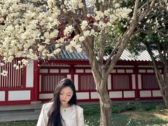 -大慈恩寺(大雁塔)