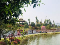 -枫香湖儿童公园