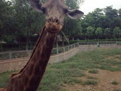 -石家庄市动物园