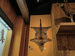 -Behring World of Animals(上海自然博物馆店)