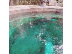 -中家鑫园温泉酒店鑫悦汤泉