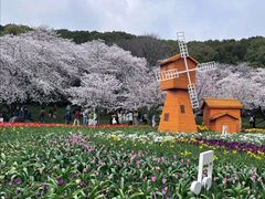 -苏州上方山国家森林公园