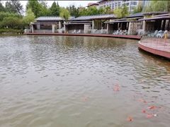 -春晖园度假酒店温泉