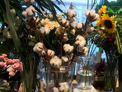 -植物学家的女儿(北马道巷店)