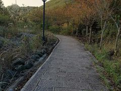 -东白山