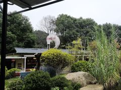 -湘力力小院·鱼汤泡饭(枫林路店)