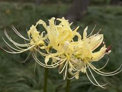 -白塘生态植物园