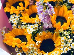 -循礼门鲜花花市(武汉循礼门店)