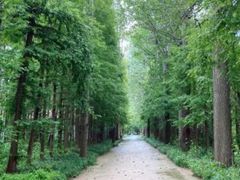 -日照灯塔风景区