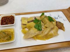 渔村山泉鸡-顺德渔村·岭南一号