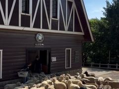 -神户市立六甲山牧场