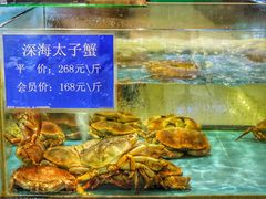 -都市阳光海鲜城(青山湖店)