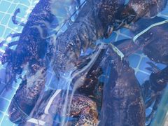 -日照大牌檔•小船海鲜(万平口店)