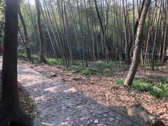 -上海佘山国家森林公园天马山园