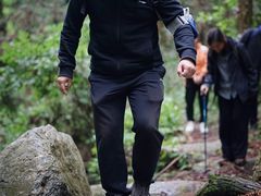 -素山寺森林公园