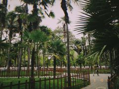 -翠湖公园