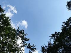 -青峰峡国家森林公园