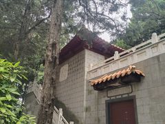 -叶家花园