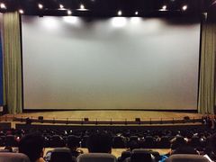 -天幕新彩云国际影城(激光巨幕店)