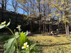 -阳台山自然风景区