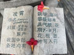-石家庄市植物园