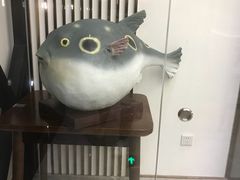 -肆月河豚·新淮扬(金融街店)