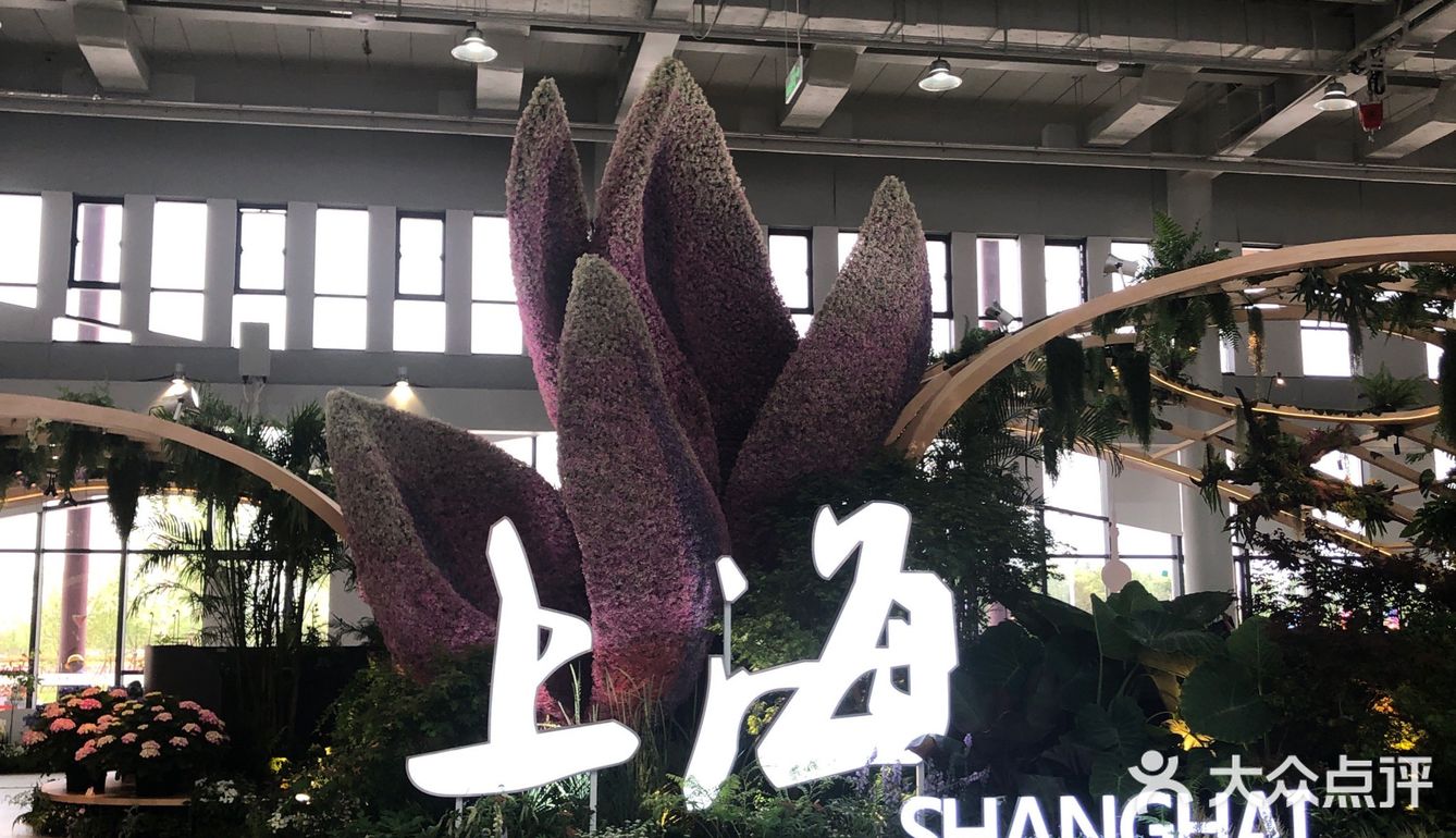 花开中国梦[加油][礼花][礼花][礼花]