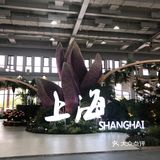 花开中国梦[加油][礼花][礼花][礼花]