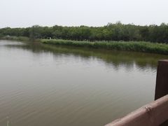 -西青郊野公园
