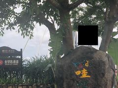 -呀诺达热带雨林