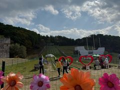 -吉林市朱雀山国家森林公园