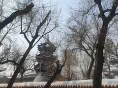 -哈尔滨极乐寺