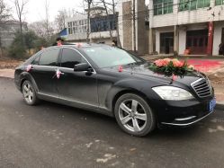 -蚂蚁婚车