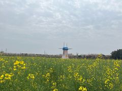 -武汉紫薇都市田园