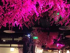 -韵秋荷(宝山龙湖天街店)