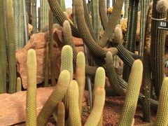 -南通洲际绿博园