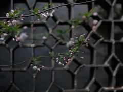 -个园