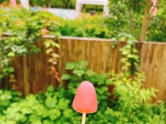 -前小桔亲子创意农场·草莓采摘·露营烧烤