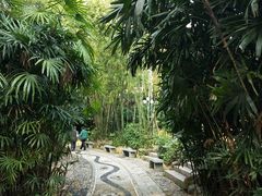 -人民公园(罗湖区)