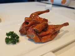 妙龄脆皮乳鸽-天然台1908(中建广场店)