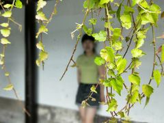 -衣裳街历史文化街区