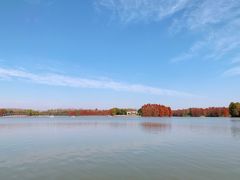 -上海海湾国家森林公园