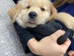 -爱侣宠医·鹦鹉专科·小型哺乳类·异宠专科(灵石路店)