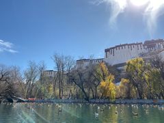 -宗角禄康公园