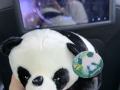 -成都宽窄巷子奎星楼街亚朵X酒店