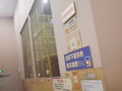 -疯狂的麦咭(长沙店)