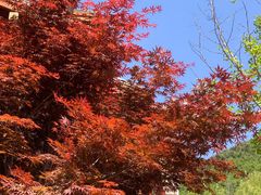 -九如山休闲旅游度假区